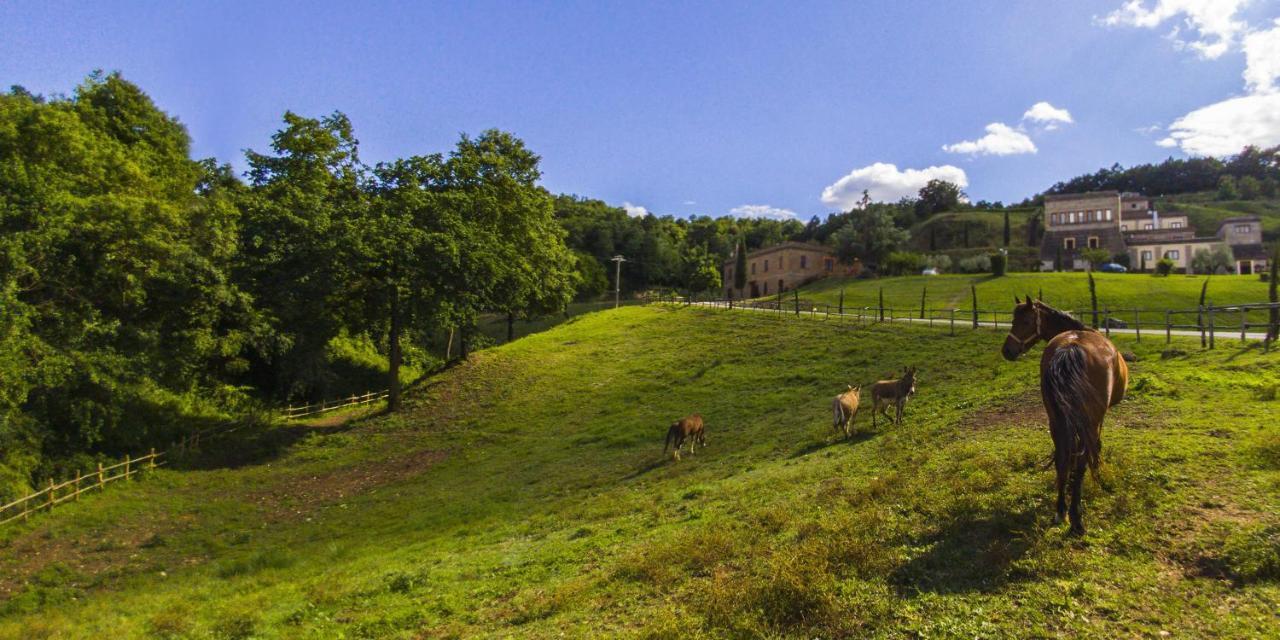 Agriturismo Rio Coverino Borghetto  Dış mekan fotoğraf